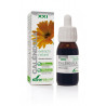 EXTRACTO DE CALÉNDULA 50ML SXXI