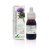 EXTRACTO DE CARDO MARIANO GLICERINADO 50ML