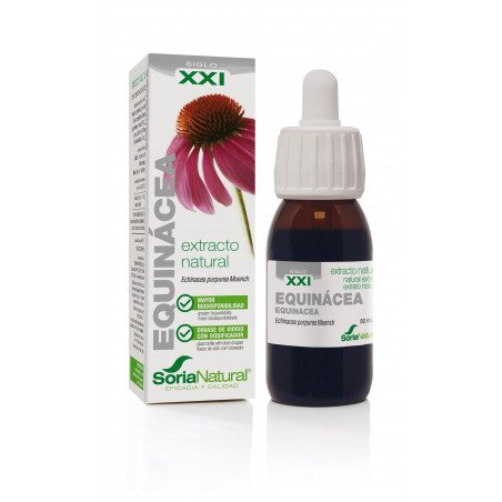 EXTRACTO DE EQUINACEA 50ML SXXI