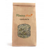 GASFLAVITA 120GR
