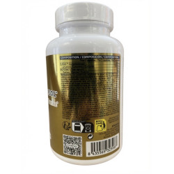 TURMER.IC CURCUMIN IO.GENIX