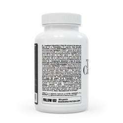 TURMER.IC CURCUMIN IO.GENIX