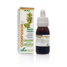 COMPOSOR 11 DIGESLAN COMPLEX 50ML SXXI