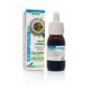 COMPOSOR 28 NERVAL 50ML SXXI