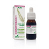 COMPOSOR 31 MENO-REGUL COMPLEX 50ML SXXI