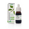 EXTRACTO DE ABEDUL 50ML SXXI