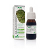 EXTRACTO DE ALCACHOFA 50ML SXXI