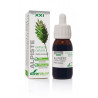EXTRACTO DE ALPISTE 50ML SXXI