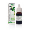 EXTRACTO DE ARÁNDANO 50ML SXXI