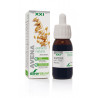 EXTRACTO DE AVENA 50ML SXXI